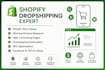 build a professional shopify store, design or redesign your shopify website des