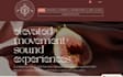 design and develop a wix website with copywriting