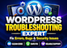 fix wordpress website errors, 500, 404, plugin issues fast in 1 hour