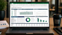 create a professional budget model and financial plan
