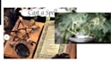 do basic spell casting and cast spell for you