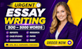 do urgent essay writing as an essay writer