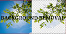remove background from image and provide transparent png