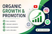 do organic instagram growth and real promotion