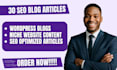 write 30 SEO friendly articles for google adsense approval