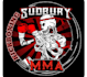 create professional boxing and jiu jitsu logo