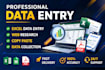 do accurate data entry copy paste web research and excel data entry