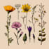 do a botanical illustration