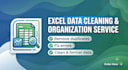 clean and organize your excel data professionally