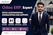 develop, design, customize your odoo erp website