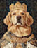 draw memorial pet portrait from photo