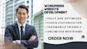 do wordpress website development, design or redesign wordpress blog website