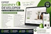 redesign shopify dropshipping store, build shopify ecommerce website development