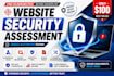 perform professional website security assessment and vapt