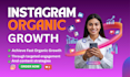 super fast organic instagram growth