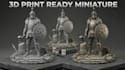 sculpt custom dnd character miniatures stl file, 3d game model for 3d printing