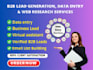 provide b2b lead generation, data entry, linkedin