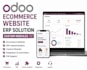 design odoo ecommerce website erp solution custom modules
