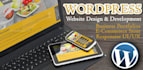 design and create reponsive optimized wordpress website