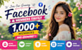 get your 1,000 facebook members