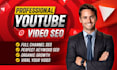 professional youtube video SEO and