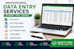 do data entry, copy paste, typing and excel work