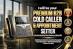 be your b2b cold caller and appointment setter