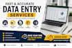 fast and accurate data entry for your business