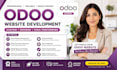 create odoo developer ecommerce website design customization redesign module erp