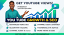 do youtube channel management and video promotion