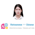 provide professional chinese vietnamese  translation