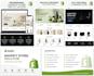design a shopify watch store