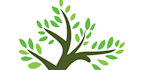 do modern minimalist business tree logo design