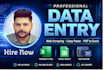 do data entry convert data insert data merge data data collection data cleaning