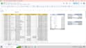 clean and organize your  data professionally