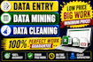 do data mining, web research, data cleaning, typing , copy paste