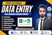 fast and accurate data entry, excel, copy paste