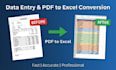 do accurate data entry and PDF to excel conversion