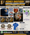do professional embroidery punching designs into dst  files