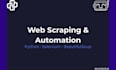 build a python selenium web scraping bot , automation script