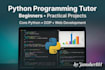 tutor python programming with practical coding lessons