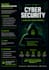 provide professional cyber security solutions