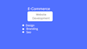 build premium website design and development