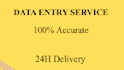 do accurate data entry in excel word PDF fast