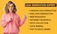expertly scrape, google maps scraper, b2b leads pull for you,b2b data extraction