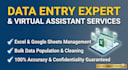 be your expert VA for data entry and excel spreadsheets