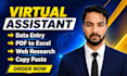 do data entry, PDF to excel, copy paste and excel formatting