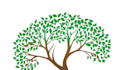 design awesome tree service logo with free source file