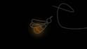 create a cartoon logo animation