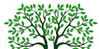 design modern awesome tree logo